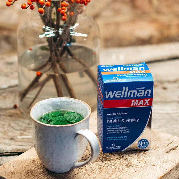 Wellman Max with 30 Nutrients - Tablets Box placed on a bench 